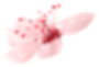 flower_3.png (Demo)